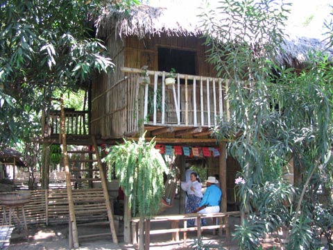 A bamboo house on stilts