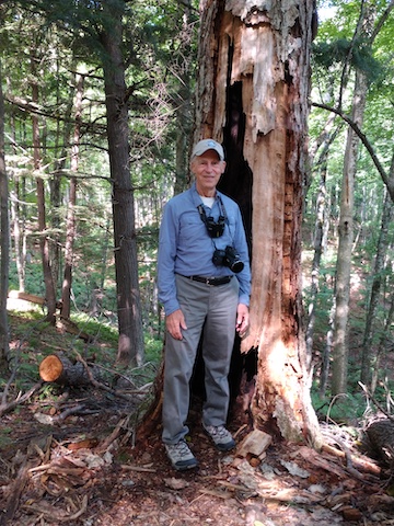 Al is standing in front of a tree with a large hole in it 