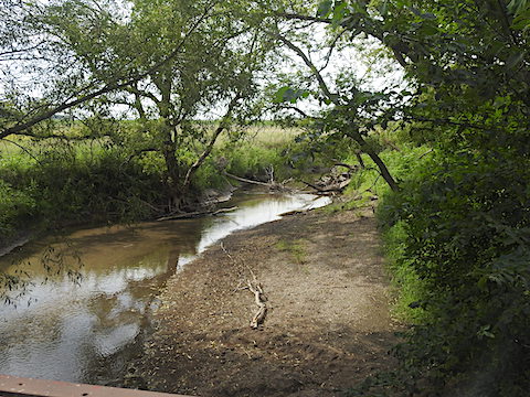 The water in the creek is low due to draught
