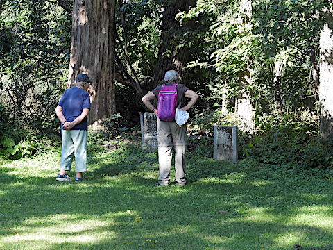 Maija and Gail have their backs to the camera as they look at               gravestones in the Token Creek Conservancy