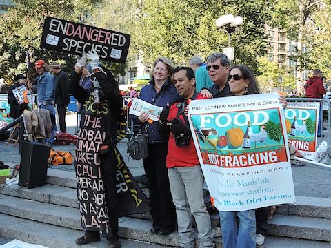 A group of fracking demonstrators, one in costume, in Union Square