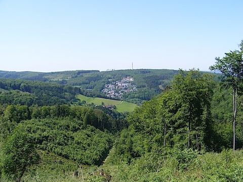 A Sauerland village is seen in a break in the trees across            a mountain valley. In the valley between the village and the             camera is a field with farm buildings.
