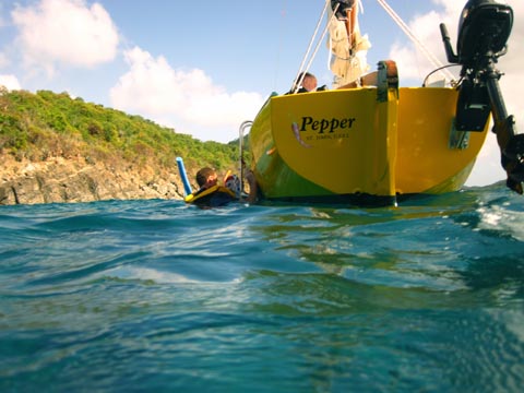 This photograph is taken from the
       water behind the stern of the yellow-colored Pepper.
       A man who has been snorkeling is climbing the ladder on the
       left - port - side of the boat. The rocky and bush covered
       shore of Whistling Cay can be seen to the left of the boat.