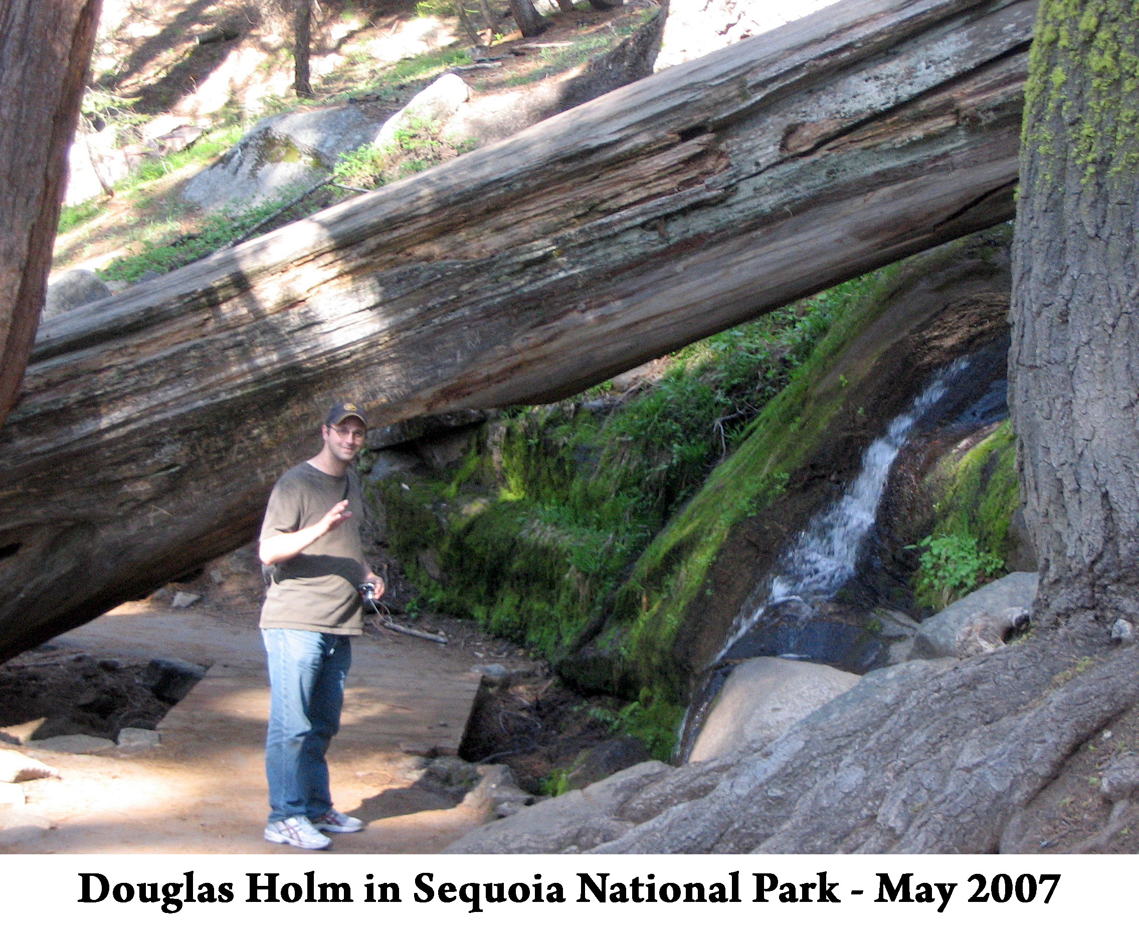 Doug is standing on path that leads under a fallen log and a small  
               stream flows toward him