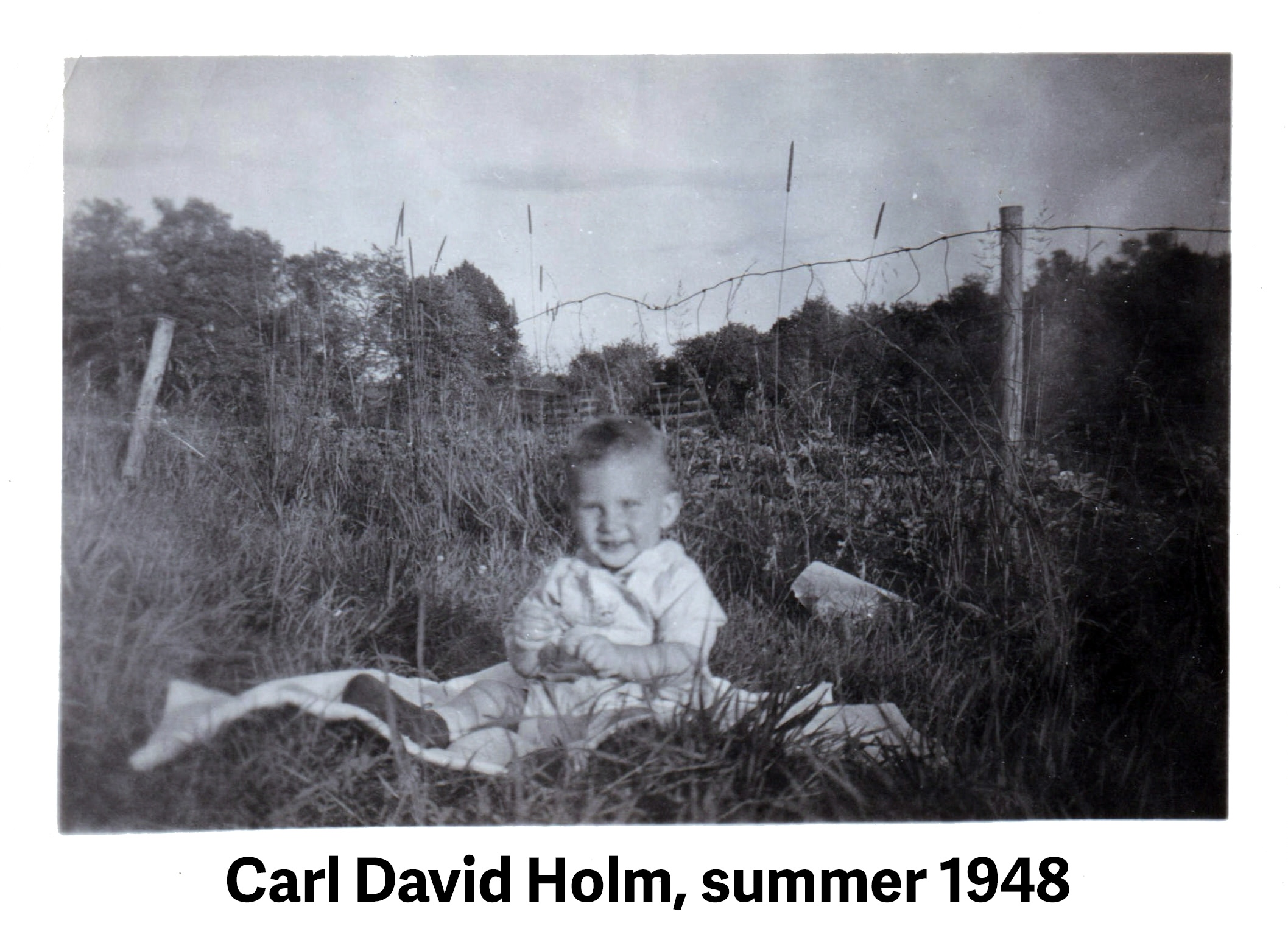 Infant Carl is sitting on a blanket in tall grass in front of a wire fence.