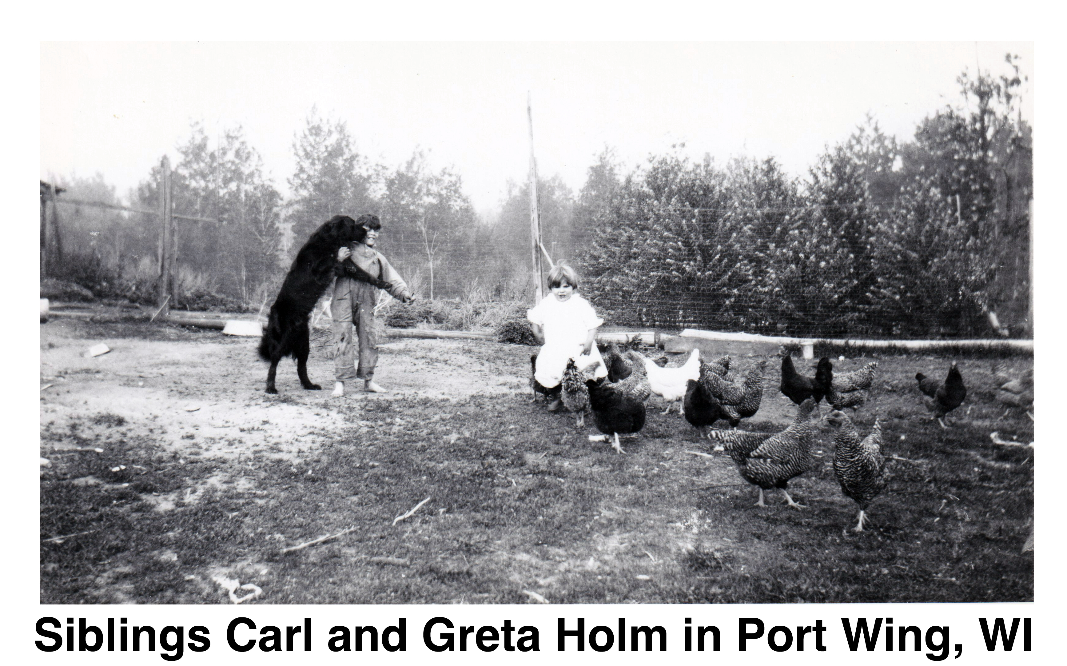 Carl is on the left, with the black dog standing on its hind feet and 
       licking Carl. Greta is on the right among the chickens.