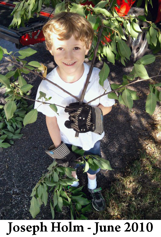 Joey Holm, wearing work gloves, carries a trimmed limb