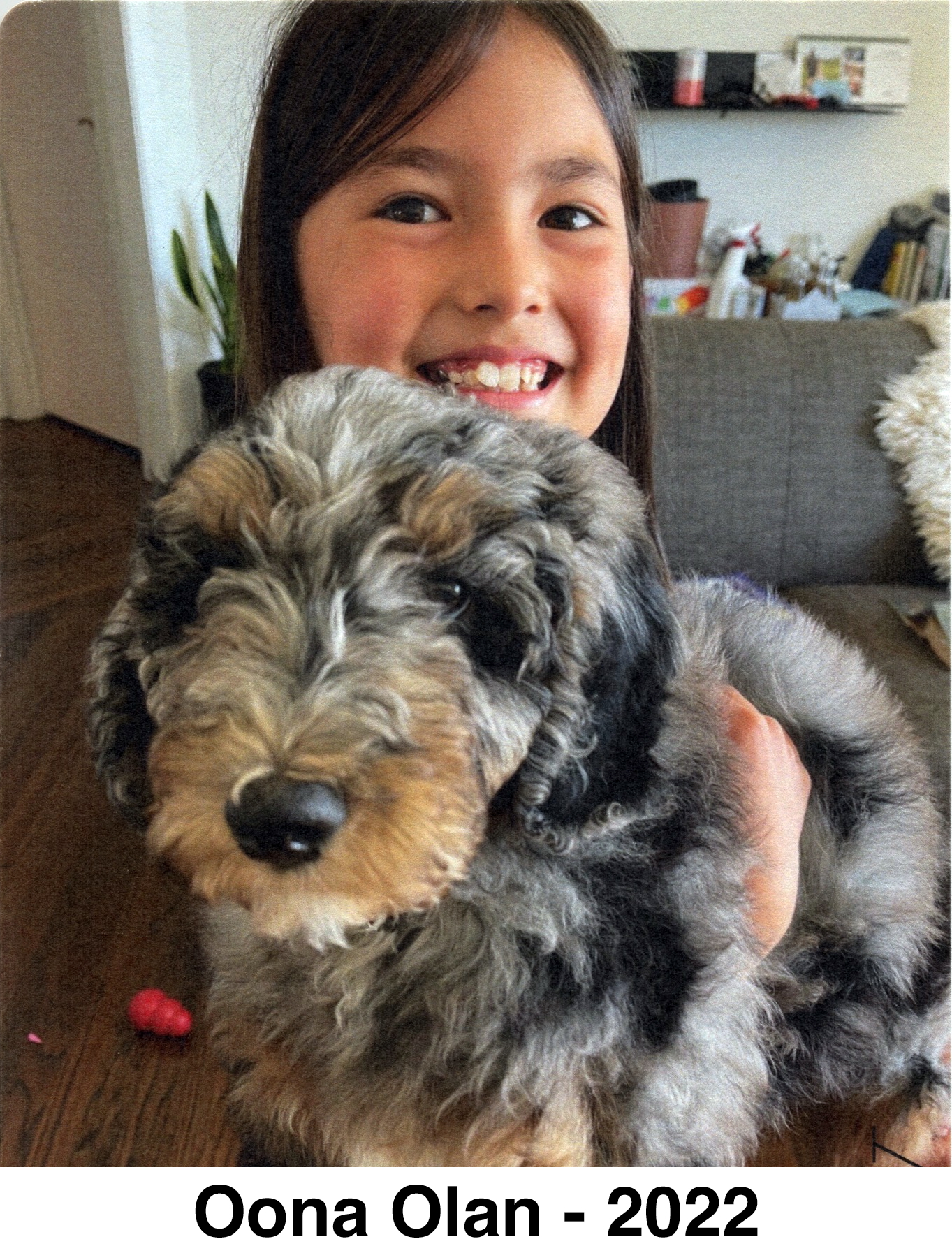 She is holding a furry dog and smiling at the camera