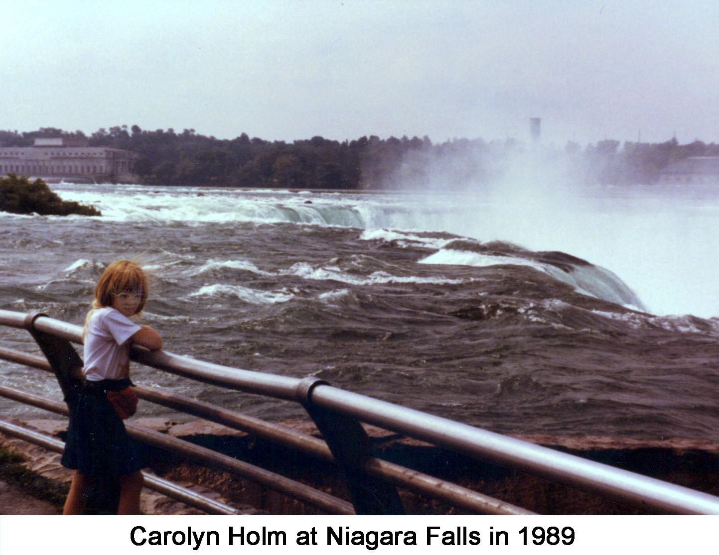 Carolyn Holm standing at the railing by the Niagra River where it flows 
                over the falls