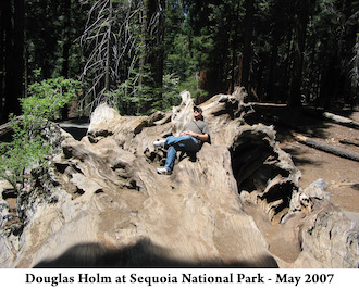 Doug is sitting on the roots of a long dead sequoia tree