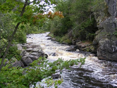 The Paint River descends in swirling rapids.
               A rocky cliff is seen on the right and trees
               and bushes on the left.