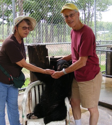Gail is on the left and Al on the right.
               Our hands hide the muzzle of the black bear cub 
               sitting on a chair between us.