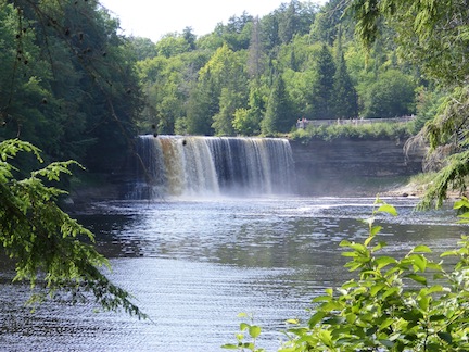 The falls is viewed 
             from the gorge below. The root-beer colored water
             plunges into the river below, although little water
             flows on the right side of the falls. 
             The photo is framed by trees.