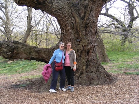 Gail and CJ stand in front of gnarly old            tree.