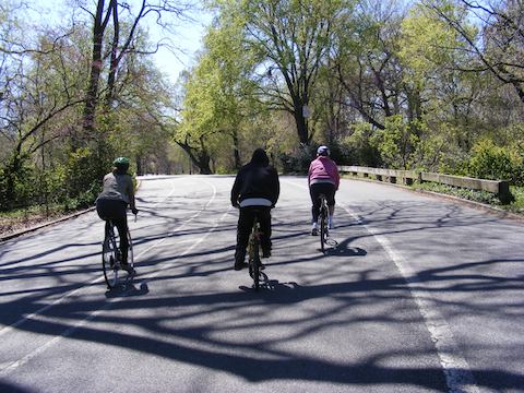 The three bicyclists are          riding away from the camera on a paved street. There          are trees on both sides of the road.