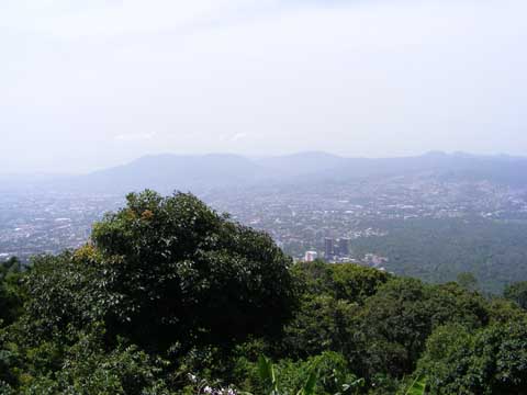 Scene shows some trees on the mountain side in the                    foreground, a portion of the sprawling city of                    San Salvador covered in hazy, and some green hills                    beyond the city
