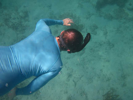 Wearing a blue shirt and with a 
            snorkel on the right side of her head, she swims down toward
            a mostly sandy bottom. She is seen from the back.