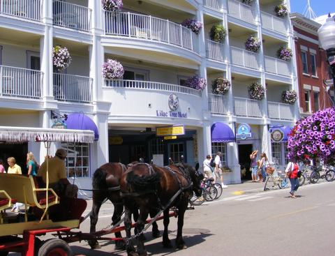 The Lilac Tree Hotel on Main Street in the
               village. A horse-drawn carriage approaches from 
               the left. Bicycles are parked at the curb.