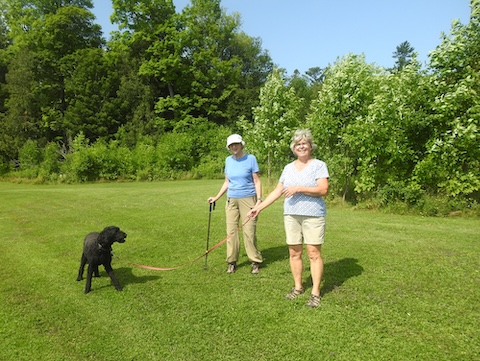 Gail and Terri are looking at the camera; Teddy is looking at Terri.