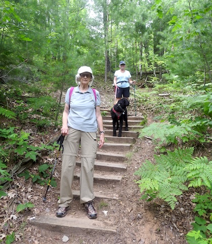 They are descending a dirt and log stairs with trees around them